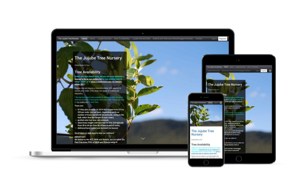 The Jujube Tree Nursery