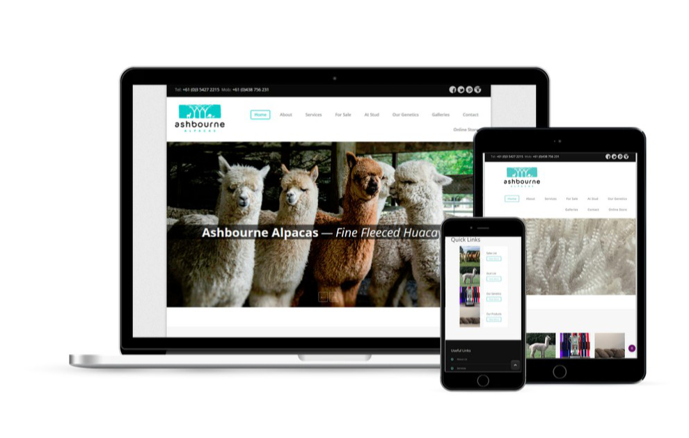 Ashbourne Alpacas